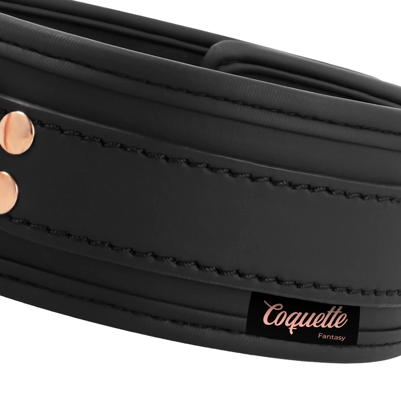 COQUETTE CHIC DESIRE - FANTASY VEGAN LEATHER COLLAR WITH NEOPRENE LINING COQUETTE FANTASY