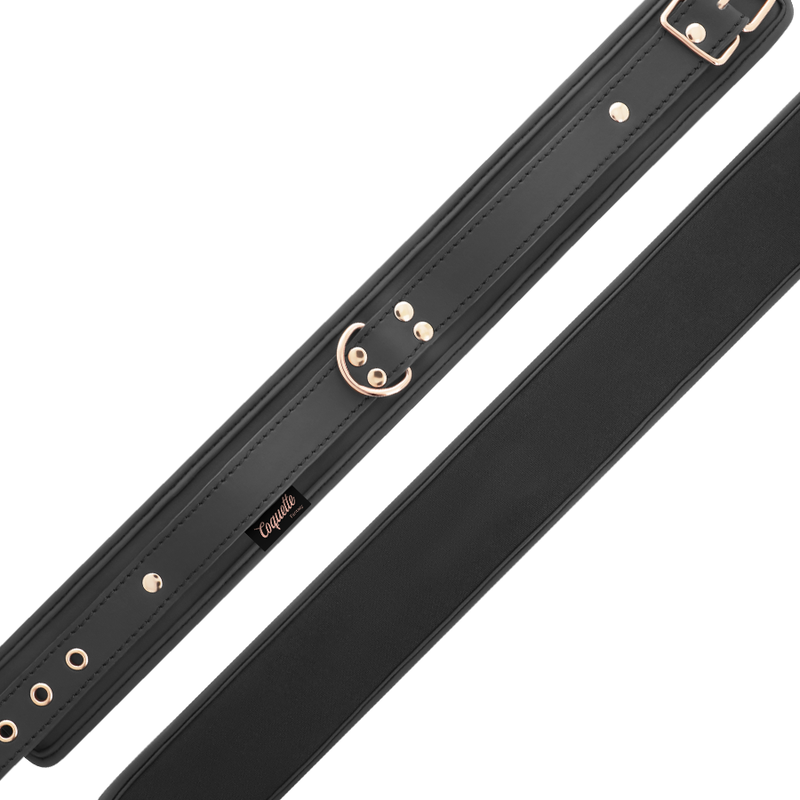 COQUETTE CHIC DESIRE - FANTASY VEGAN LEATHER COLLAR WITH NEOPRENE LINING COQUETTE FANTASY