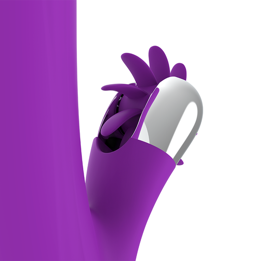 FUN FUNCTION - BUNNY FUNNY ROTATION 2.0 FUN FUNCTION