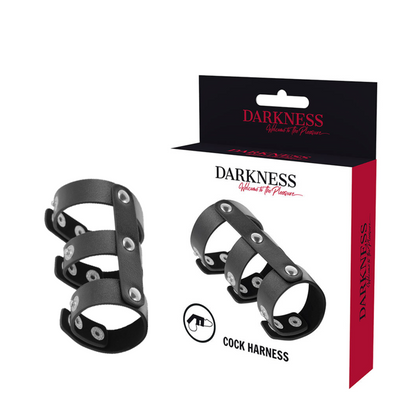 DARKNESS - ADJUSTABLE LEATHER DOUBLE PENIS AND TESTICLE RING DARKNESS BONDAGE