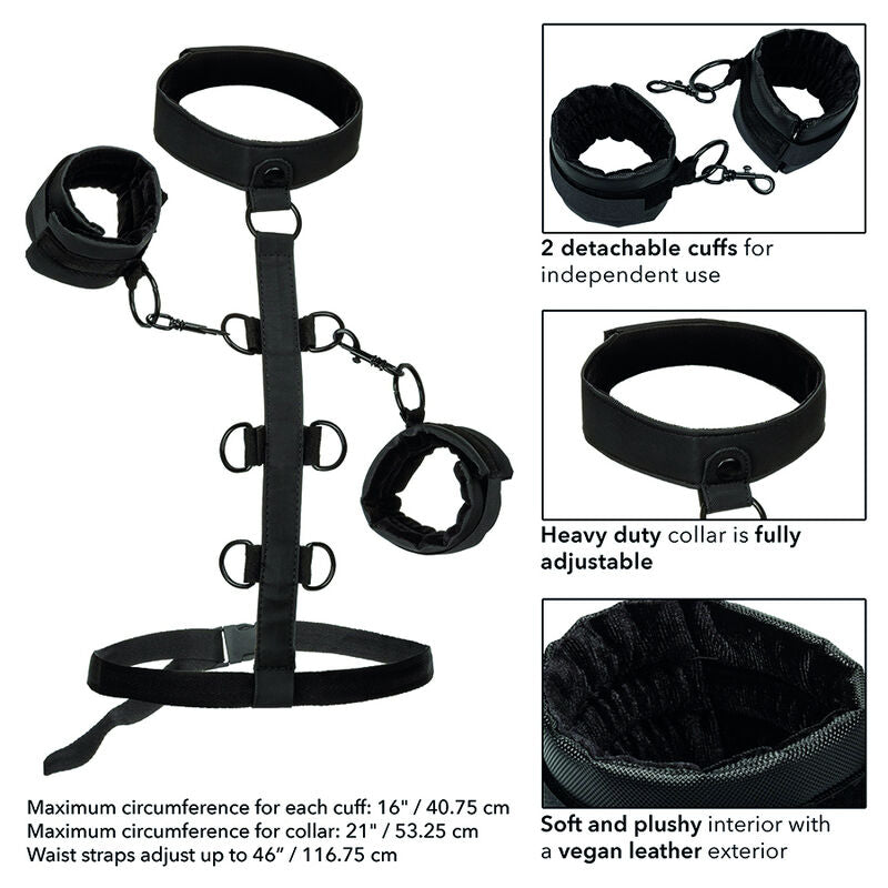 CALEXOTICS - BOUNDLESS COLLAR BODY RESTRAINT - ToysByMonk
