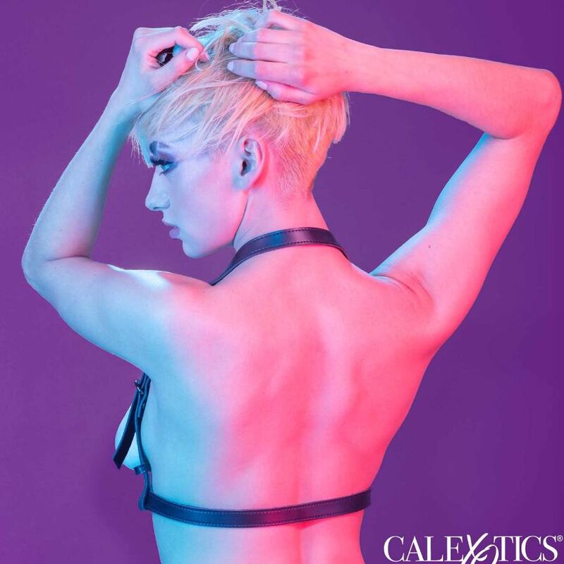 CALEXOTICS - EUPHORIA HALTER BUCKLE HARNESS BLACK CALEXOTICS