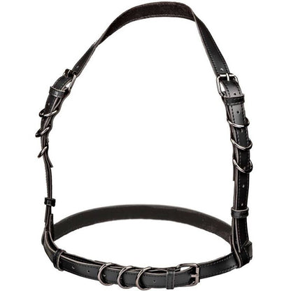 CALEXOTICS - EUPHORIA PLUS SIZE HALTER BUCKLE HARNESS BLACK - ToysByMonk