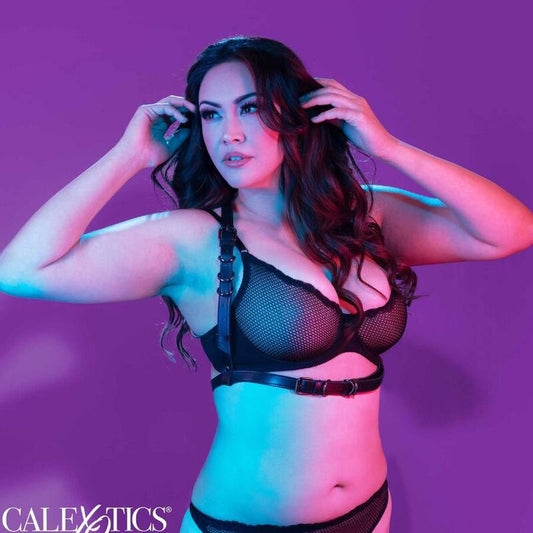 CALEXOTICS - EUPHORIA PLUS SIZE HALTER BUCKLE HARNESS BLACK - ToysByMonk