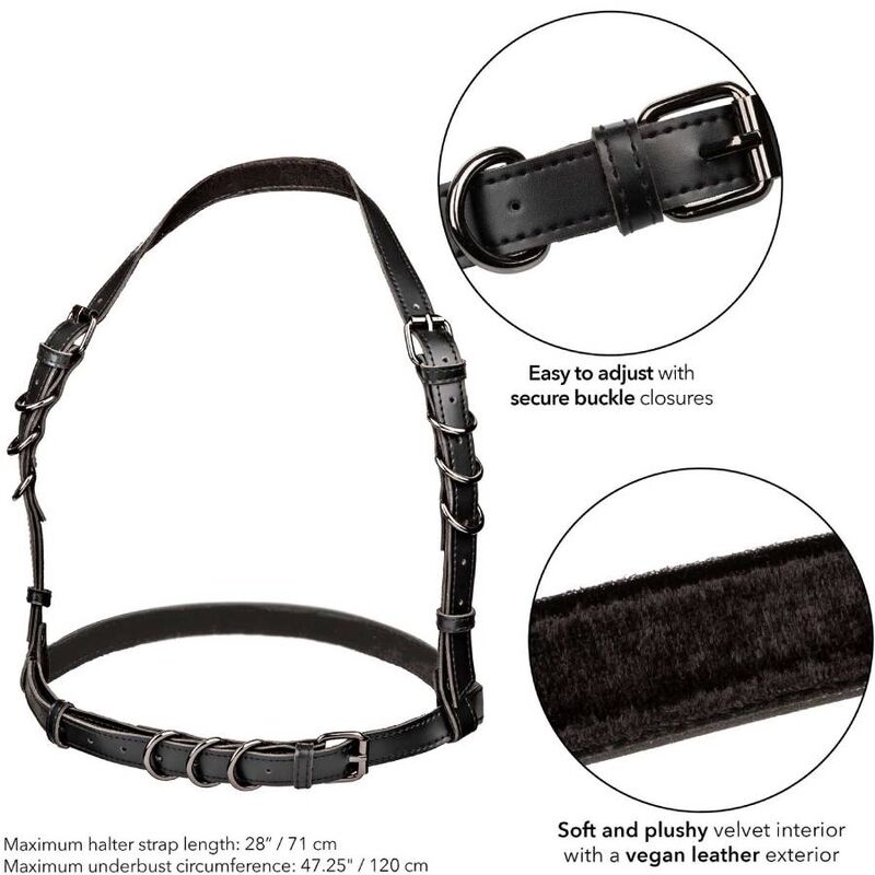 CALEXOTICS - EUPHORIA PLUS SIZE HALTER BUCKLE HARNESS BLACK CALEXOTICS