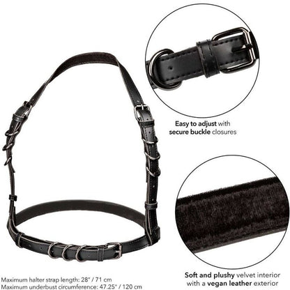 CALEXOTICS - EUPHORIA PLUS SIZE HALTER BUCKLE HARNESS BLACK CALEXOTICS