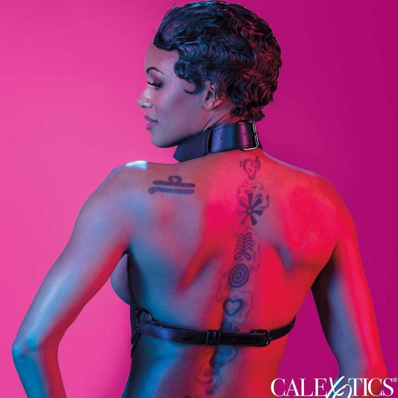 CALEXOTICS - EUPHORIA MULTI CHAIN COLLAR HARNESS CALEXOTICS