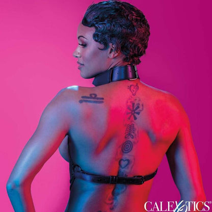 CALEXOTICS - EUPHORIA MULTI CHAIN COLLAR HARNESS CALEXOTICS
