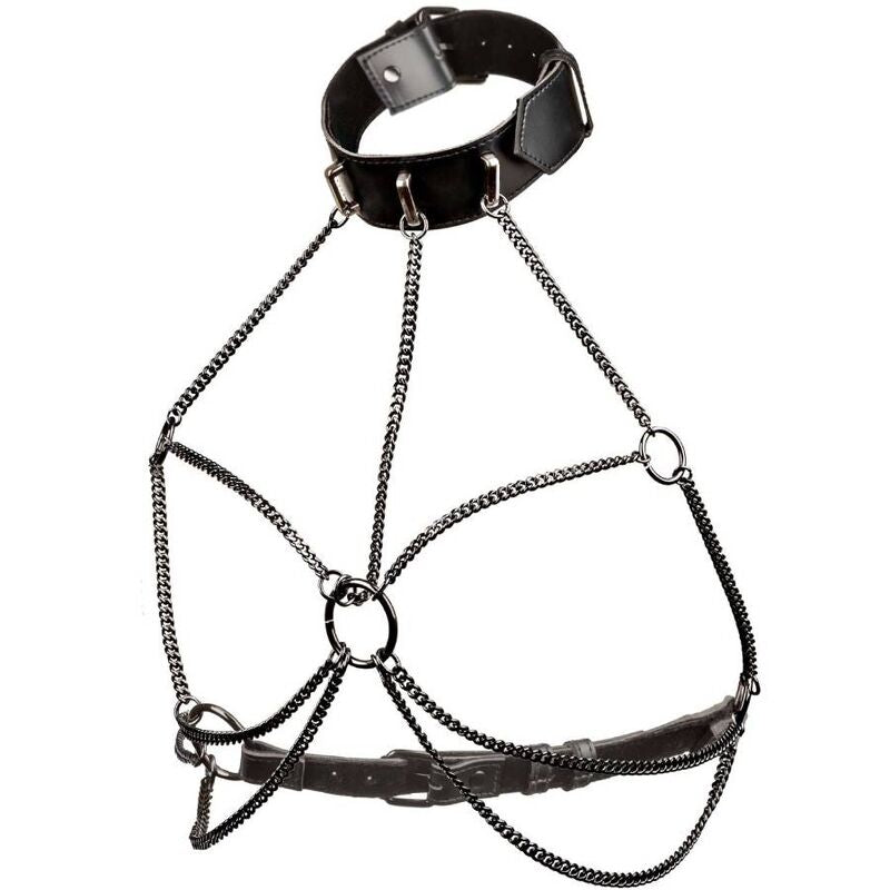 CALEXOTICS - EUPHORIA PLUS SIZE MULTI CHAIN COLLAR HARNESS CALEXOTICS