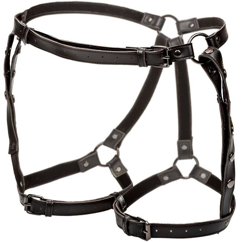 CALEXOTICS - EUPHORIA RIDING THIGH HARNESS - ToysByMonk