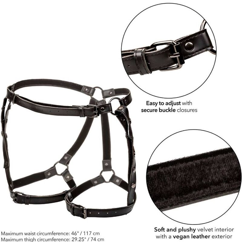 CALEXOTICS - EUPHORIA PLUS SIZE RIDING THIGH HARNESS - ToysByMonk