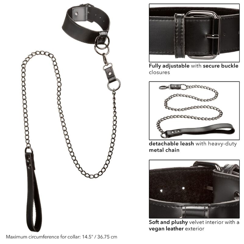 CALEXOTICS - EUPHORIA COLLAR WITH CHAIN LEASH - ToysByMonk