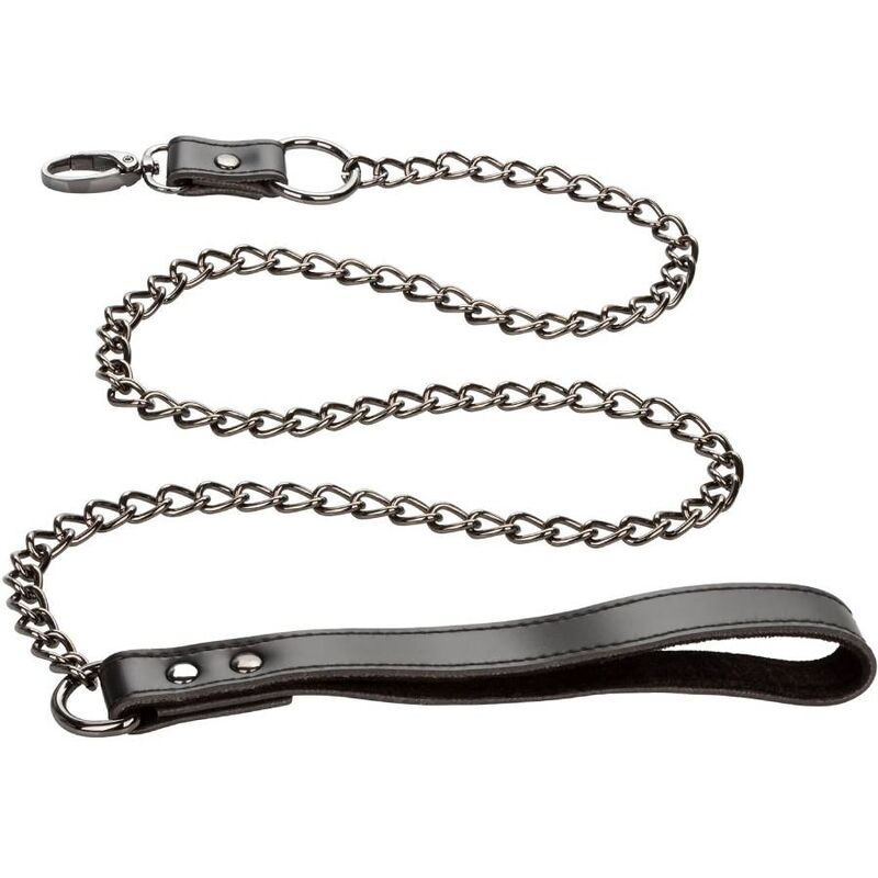 CALEXOTICS - EUPHORIA COLLAR WITH CHAIN LEASH - ToysByMonk