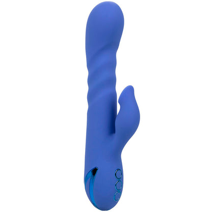 CALEXOTICS - L.A LOVE VIBRATOR & SUCKER BLUE BY CALIFORNIA DREAMING - ToysByMonk