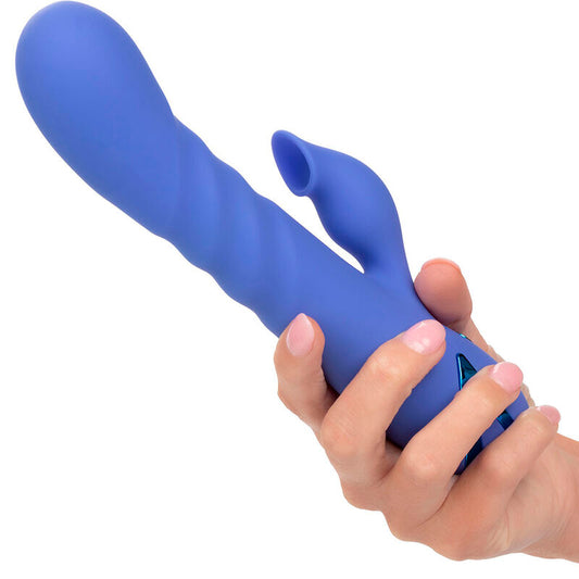 CALEXOTICS - L.A LOVE VIBRATOR & SUCKER BLUE BY CALIFORNIA DREAMING - ToysByMonk