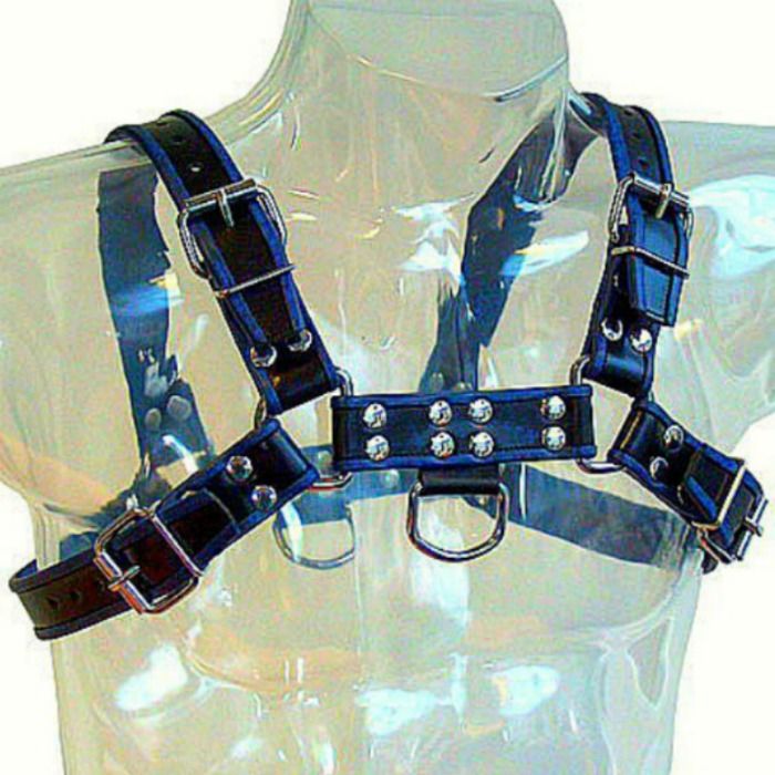LEATHER BODY - BLUE AND BLACK LEATHER HARNESS CHEST BULLDOG LEATHER BODY