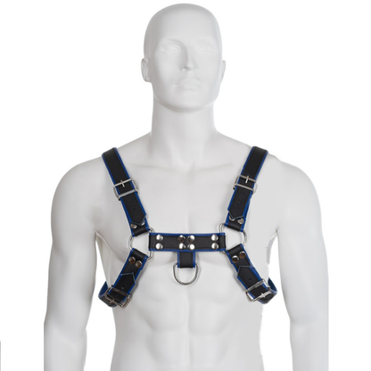 LEATHER BODY - BLUE AND BLACK LEATHER HARNESS CHEST BULLDOG LEATHER BODY