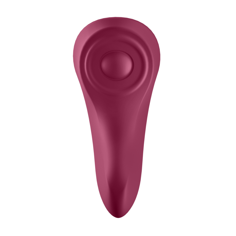 SATISFYER - SEXY SECRET PANTY - ToysByMonk